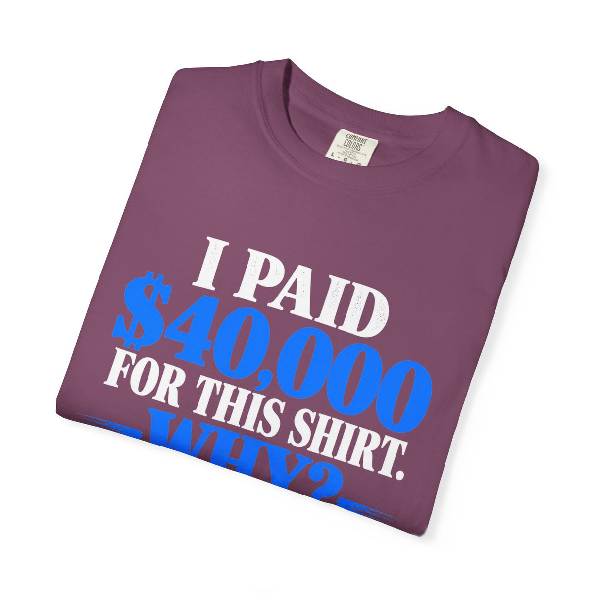 I Paid 40,000 For This Shirt T-Shirt — Funny Statement Graphic Tee
