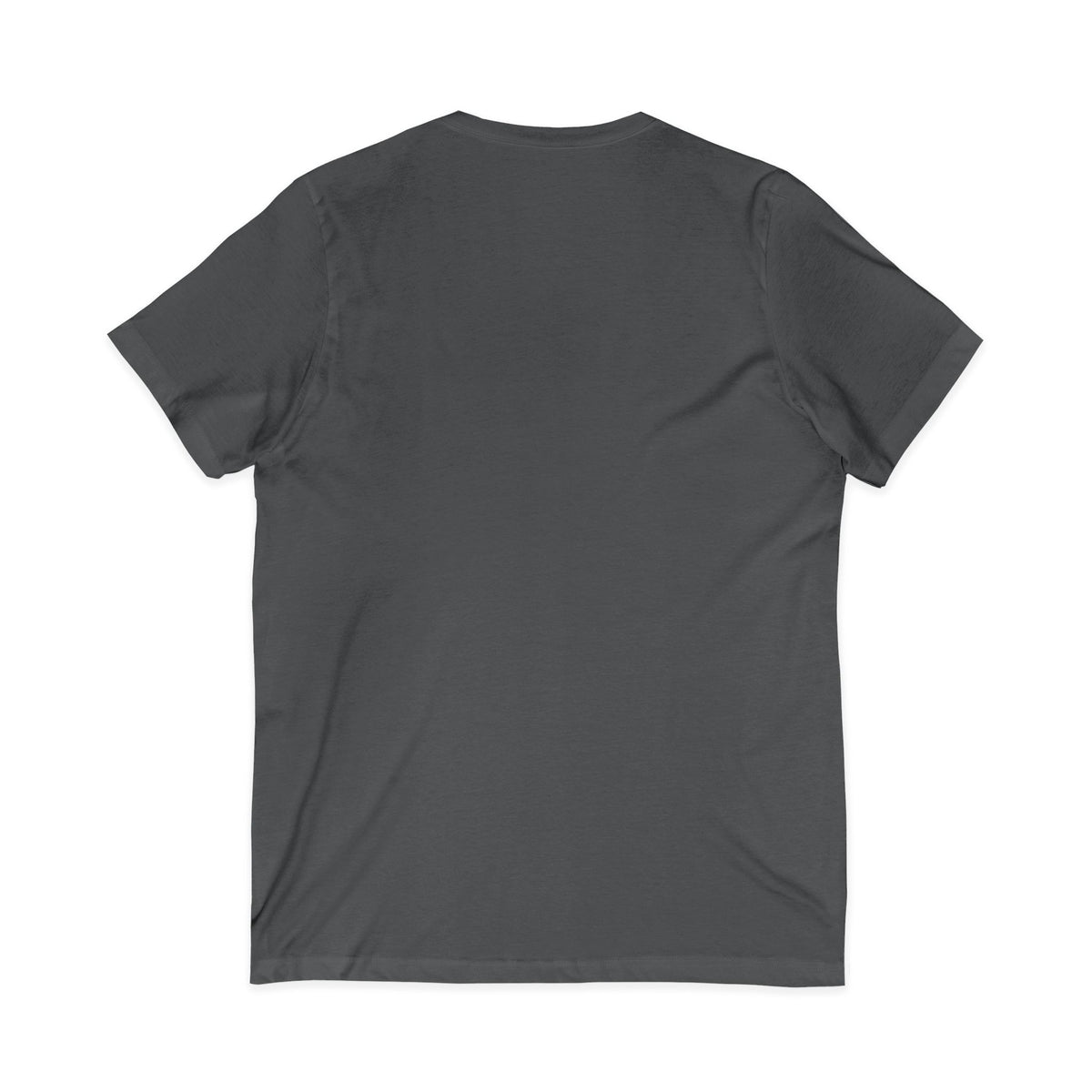 Brownwood Lions "Can't Hide Our Pride" V-Neck Tee