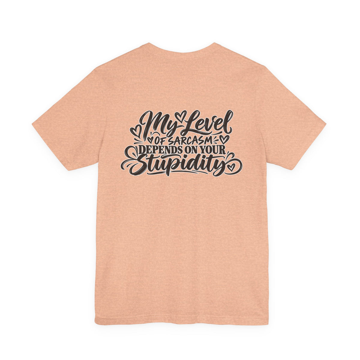My Level of Sarcasm Depends on Your Stupidity T-Shirt