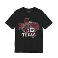 Brownwood Texas Lion Star Graphic T-Shirt